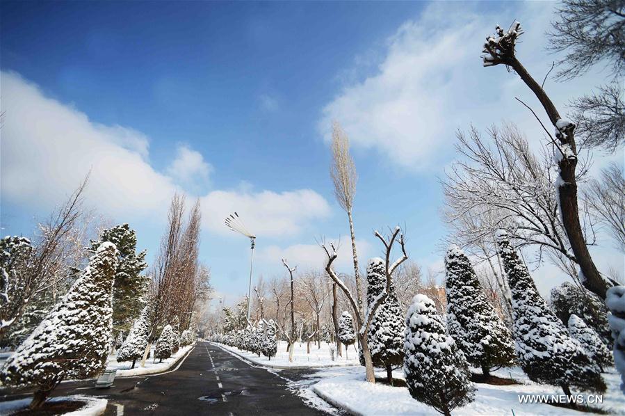 UZBEKISTAN-TASHKENT-SNOW VIEW