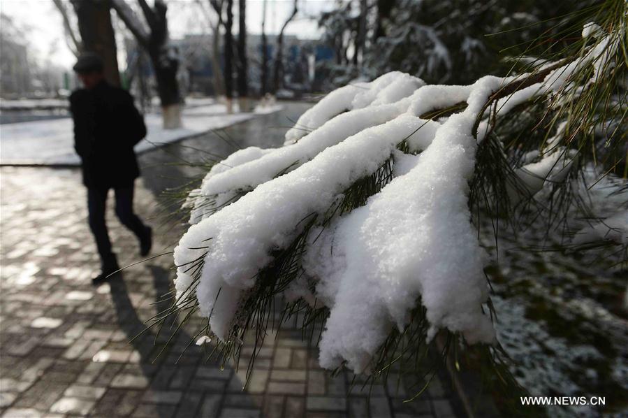 UZBEKISTAN-TASHKENT-SNOW VIEW