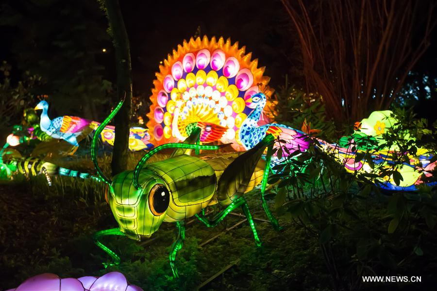 HUNGARY-BUDAPEST-CHINESE LANTERN FESTIVAL