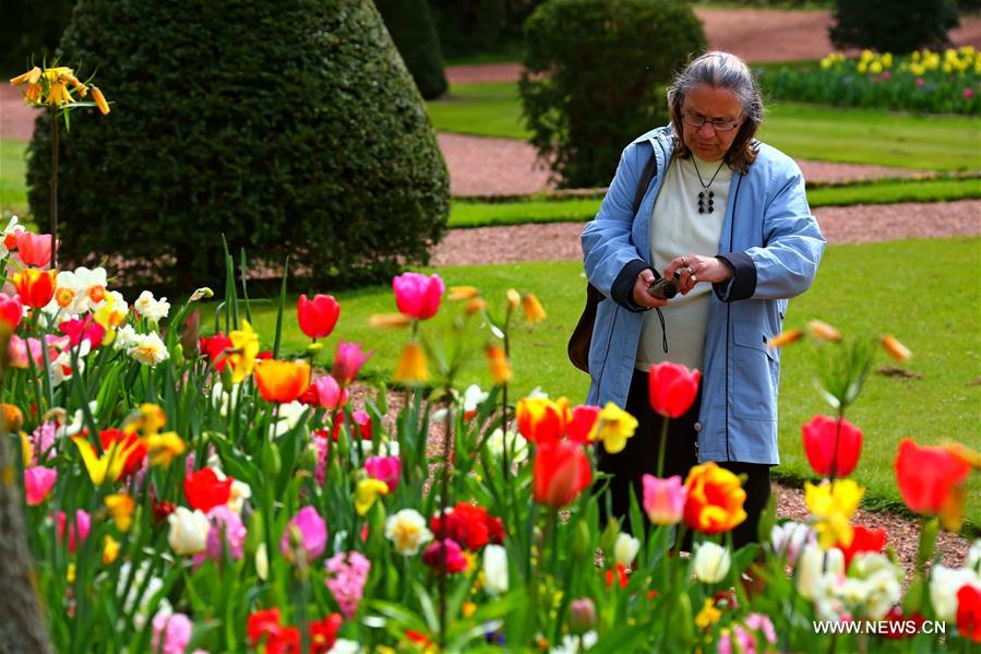 BELGIUM-BRUSSELS-FLORALIA 