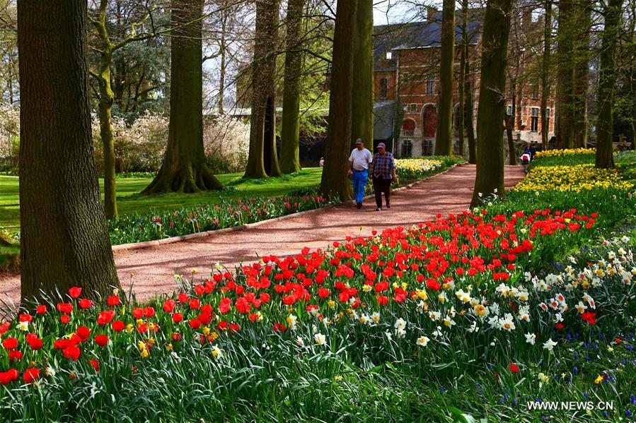 BELGIUM-BRUSSELS-FLORALIA 