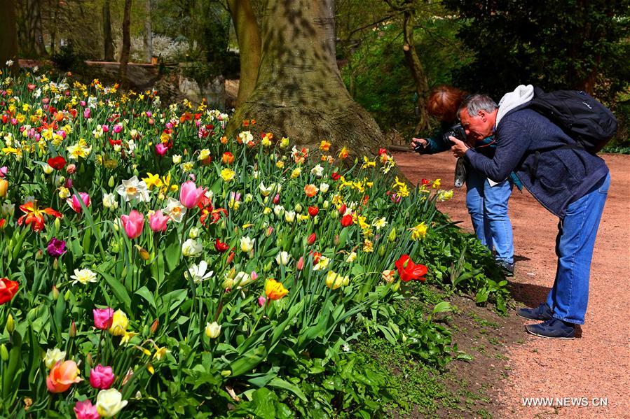 BELGIUM-BRUSSELS-FLORALIA 