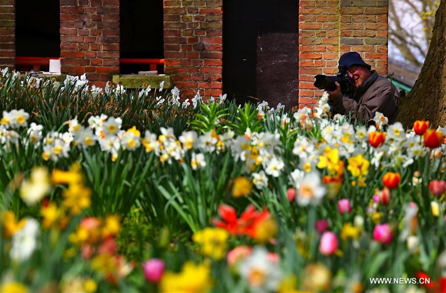 BELGIUM-BRUSSELS-FLORALIA 