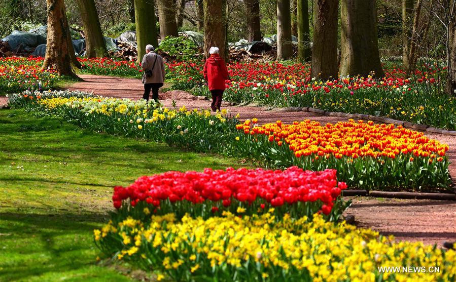 BELGIUM-BRUSSELS-FLORALIA 