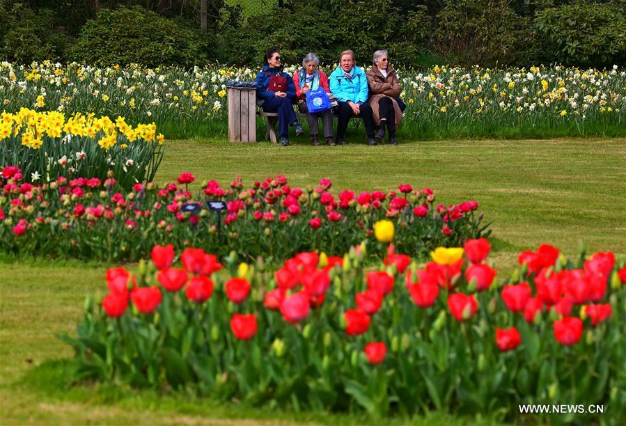 BELGIUM-BRUSSELS-FLORALIA 