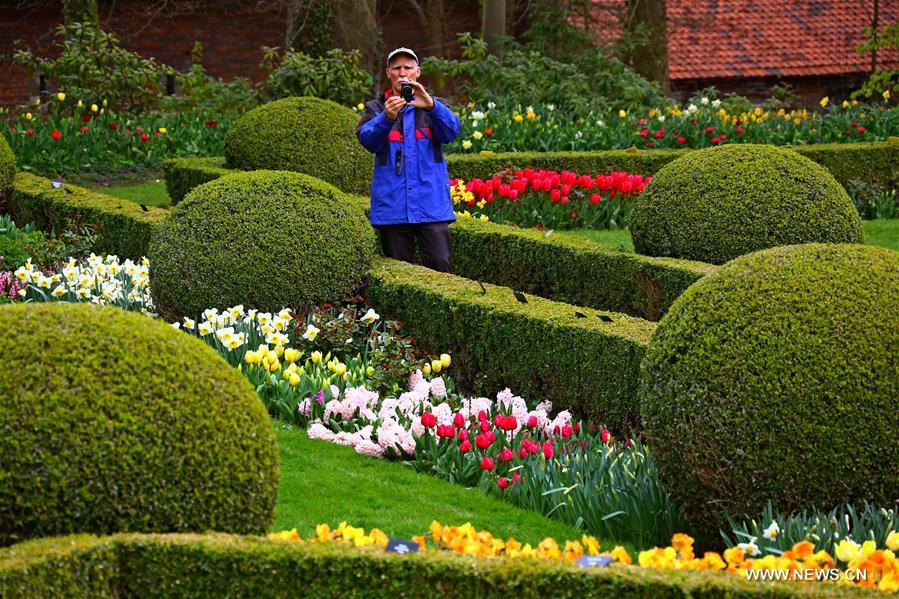 BELGIUM-BRUSSELS-FLORALIA 