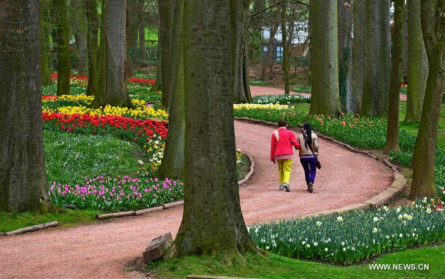 BELGIUM-BRUSSELS-FLORALIA 