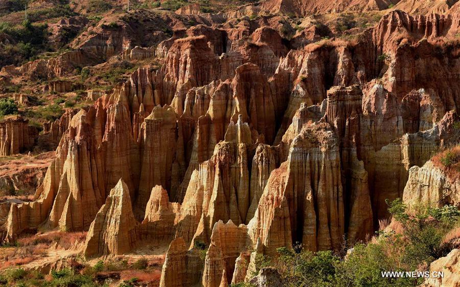 CHINA-YUNNAN-YUANMOU-EARTH FOREST (CN)