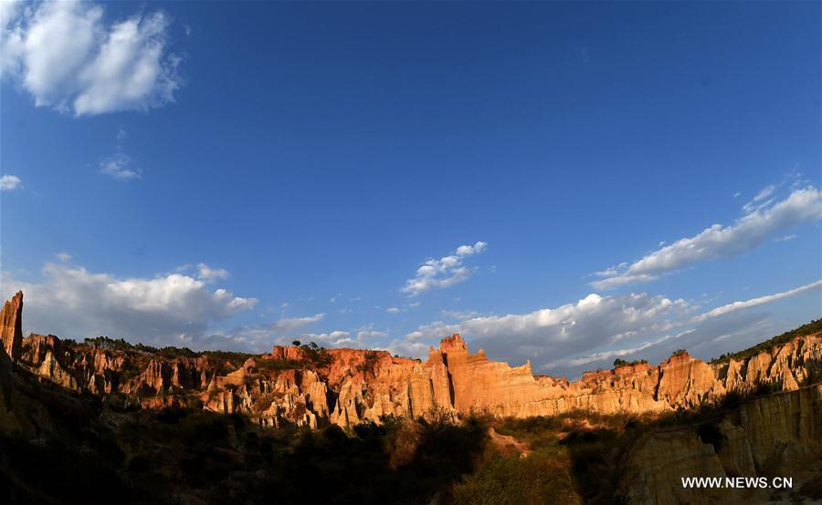 CHINA-YUNNAN-YUANMOU-EARTH FOREST (CN)