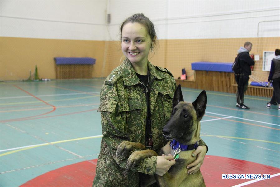 Показательные выступления кинологов со служебными собаками во Владивостоке