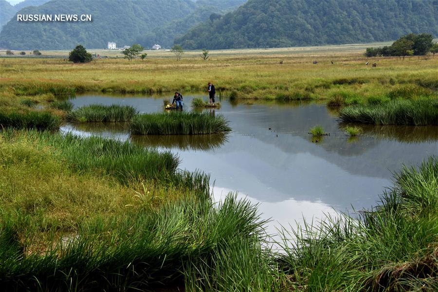 Пейзажи озера Дацзюху в Шэньнунцзя