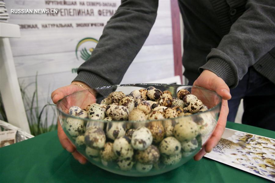 В Петербурге открылась международная сельскохозяйственная выставка "Агрорусь-2016"