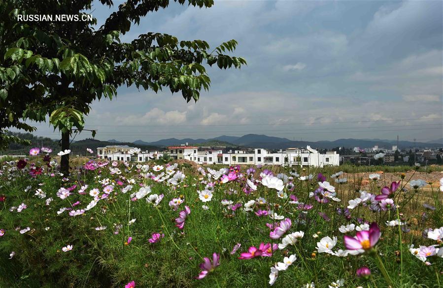 Горные пейзажи уезда Малун в провинции Юньнань