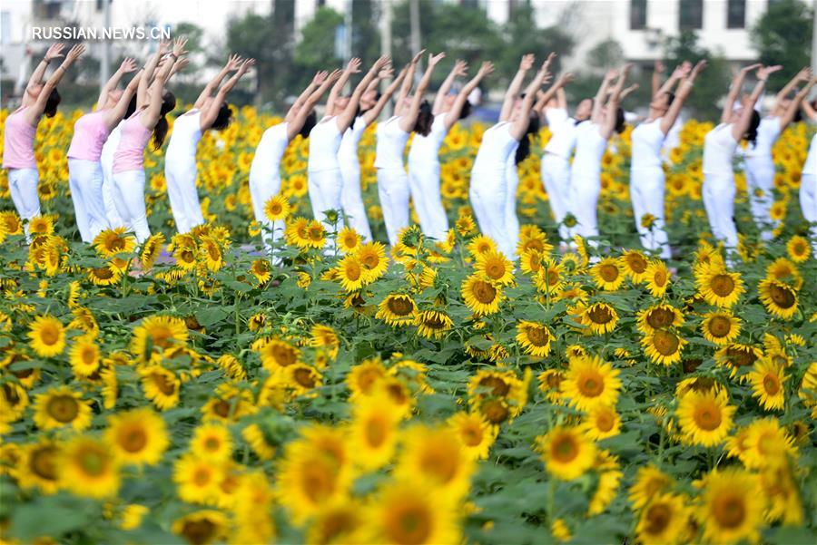 Йога на фоне осенних цветов в провинции Хунань