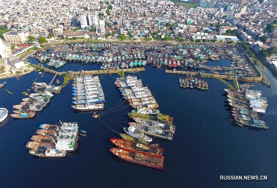 Рыболовецкие суда ждут прихода тайфуна "Меранти" в гавани Шаньтоу