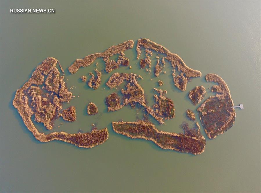 Заповедные болота под Тяньцзинем в ожидании зимы