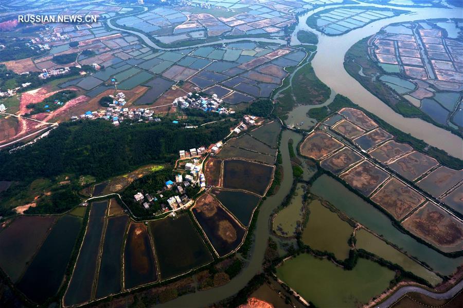 Креветочные фермы под Циньчжоу