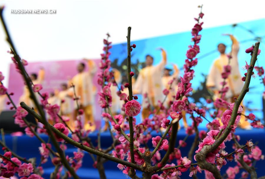 Международный фестиваль цветения сливы муме в Нанкине 