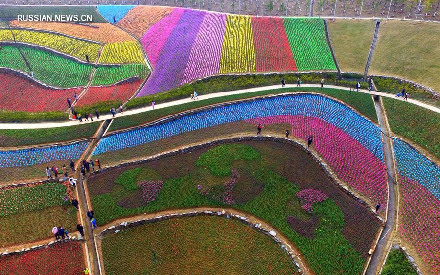 Краски весны на востоке Китая
