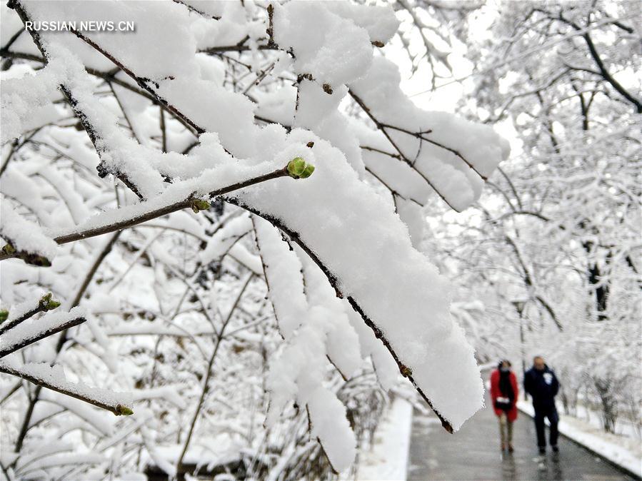 Весенний снег в провинции Ганьсу