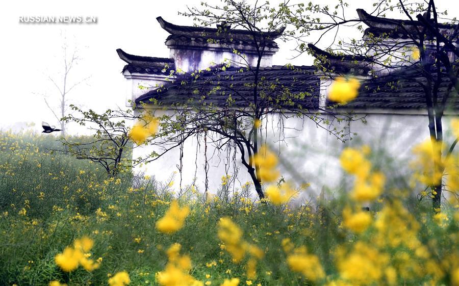 Весна в провинции Аньхой
