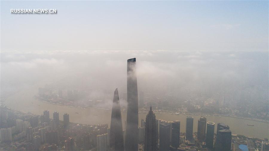 Туман в Шанхае