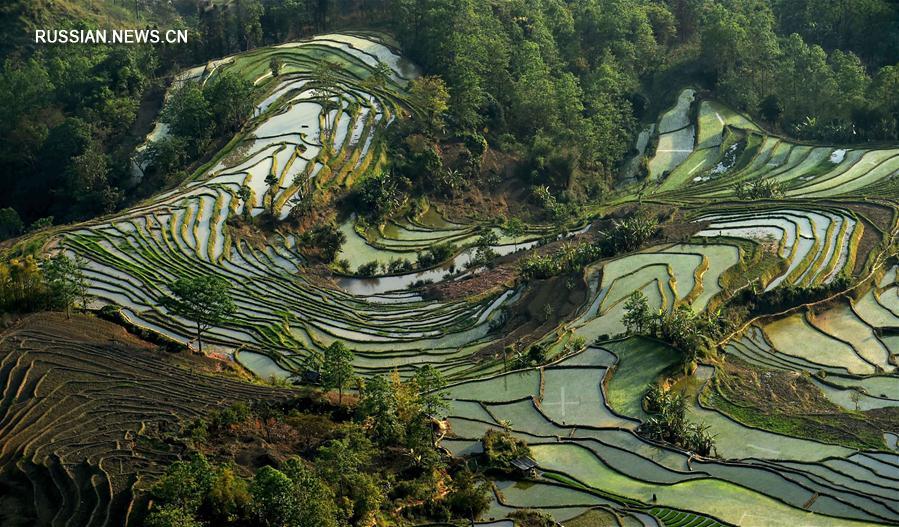 Ханийские террасные поля в провинции Юньнань