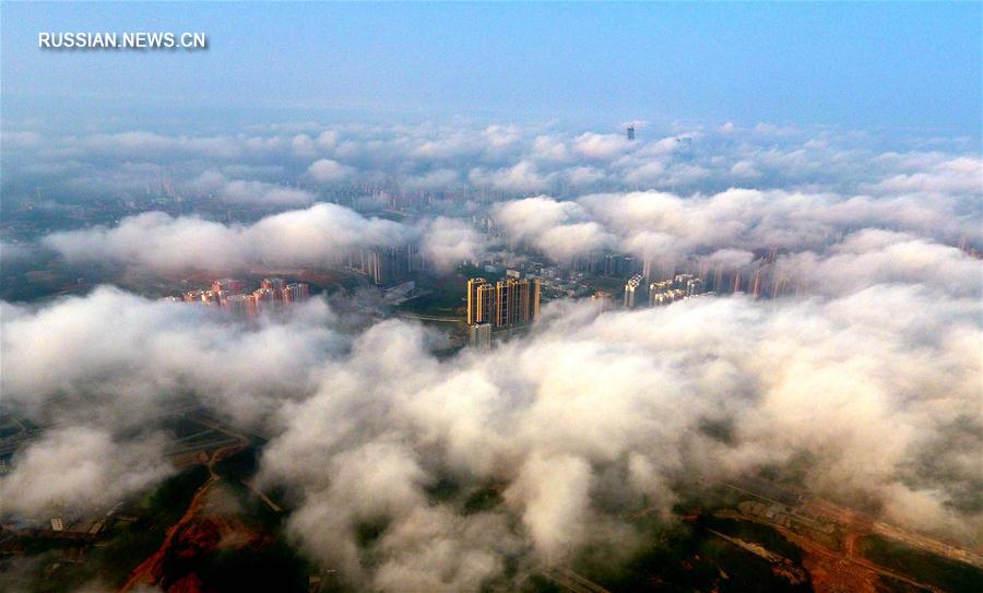 Туман над "зеленым городом"