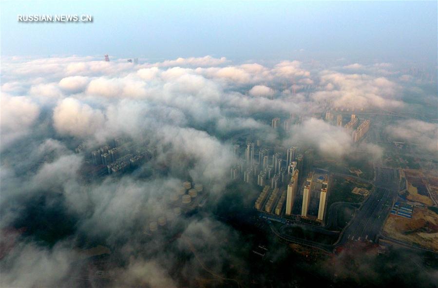 Туман над "зеленым городом"