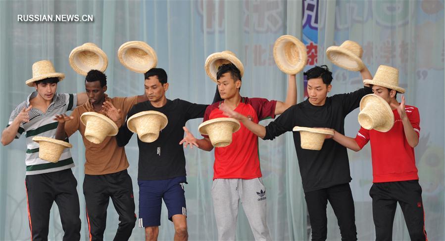 Акробатическое искусство в Уцяо: мост для культурных обменов между Китаем и зарубежными  странами