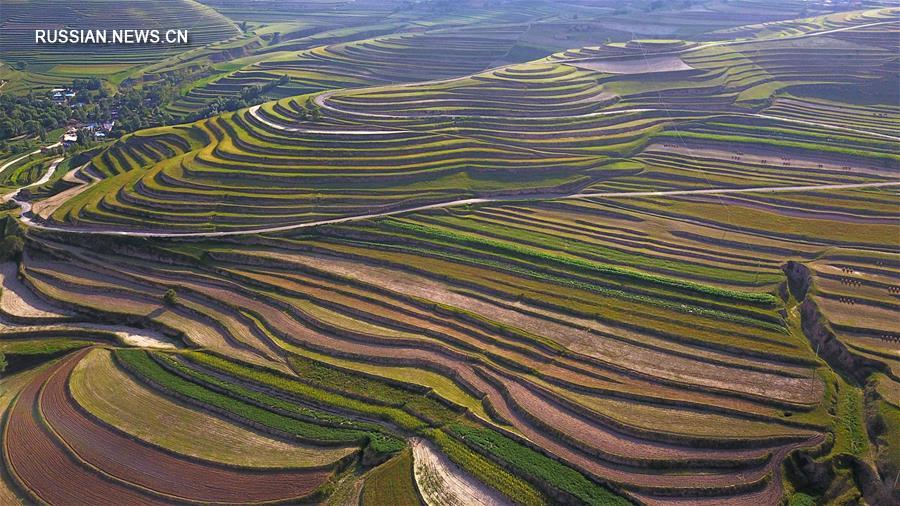 Террасные поля в горах Люпаньшань
