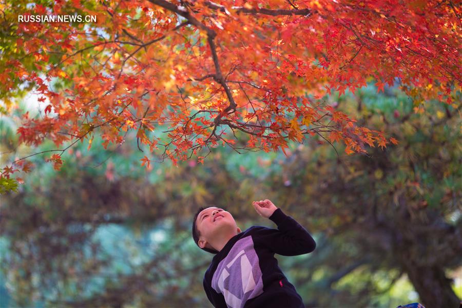 Осенние пейзажи в горах Лушань