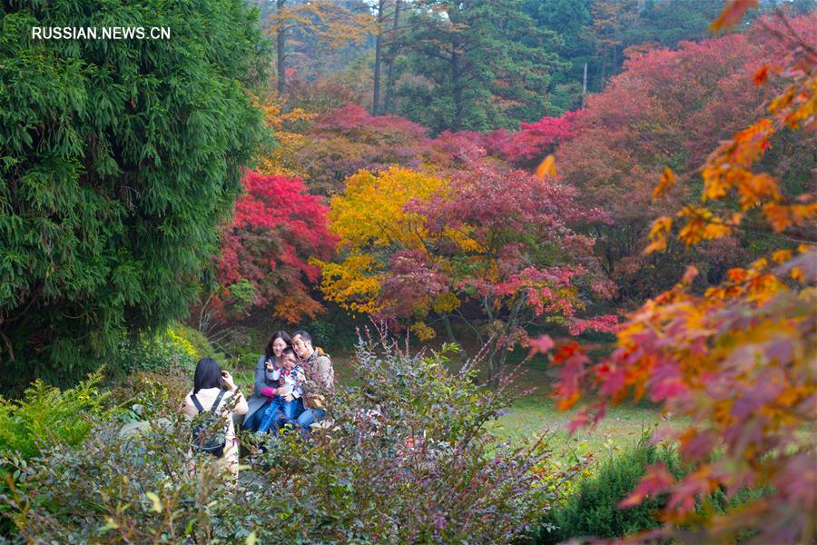Осенние пейзажи в горах Лушань