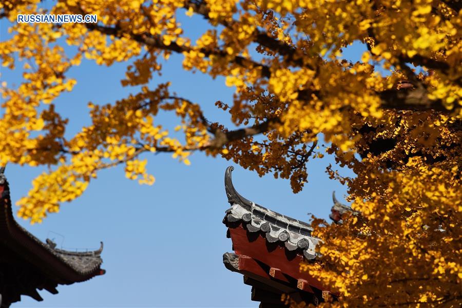 Осенние листья в храме Тайпин на востоке Китая