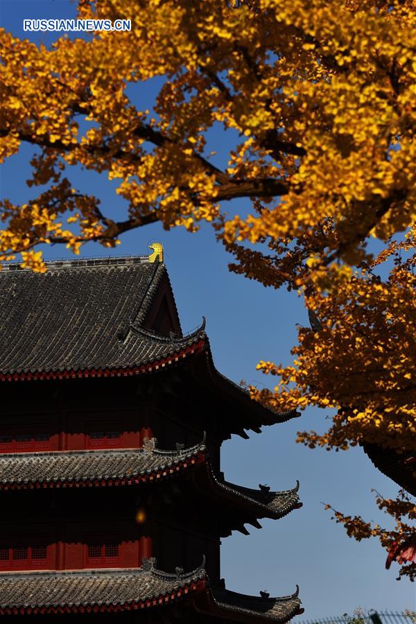 Осенние листья в храме Тайпин на востоке Китая