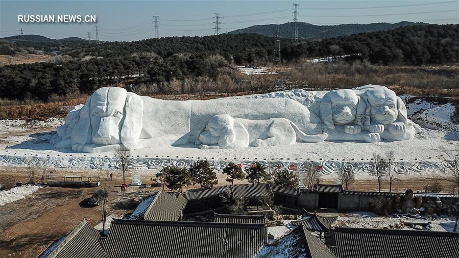 В парке Шэньяна появилась масштабная скульптура собак из снега