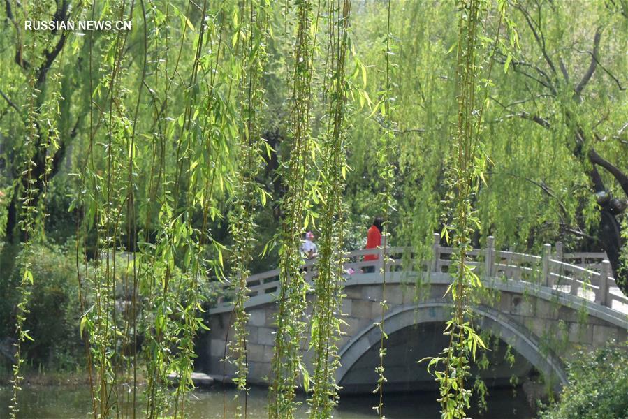Весенняя прогулка по ландшафтному парку "Даминху" в Цзинане