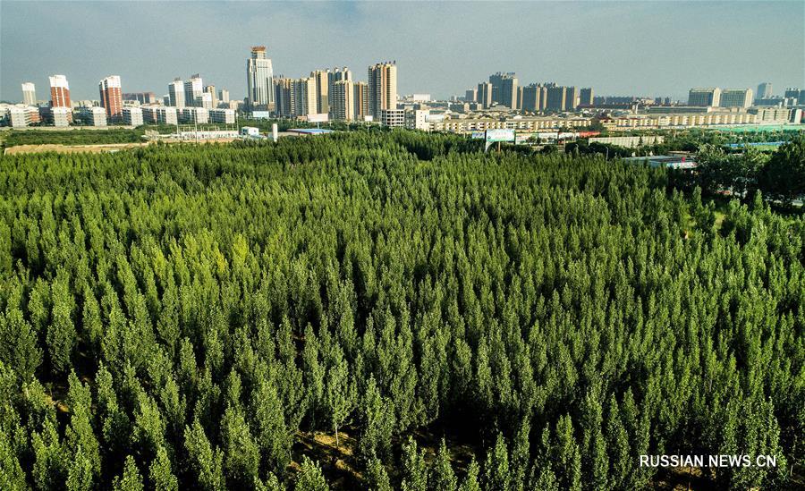 Создание экологических заграждений в уезде Хэян провинции Шэньси
