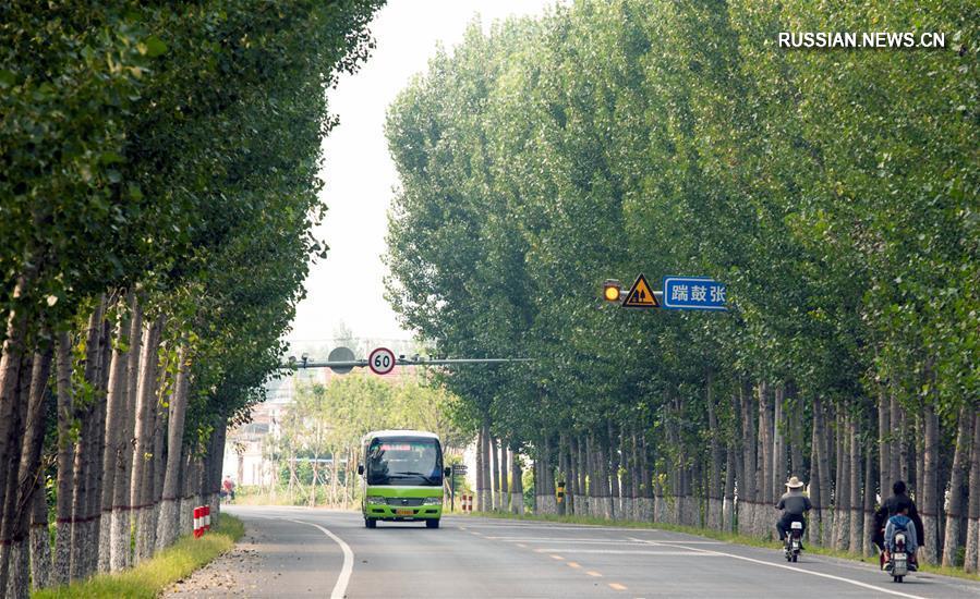 Зеленые сельские дороги в уезде Гаоцин