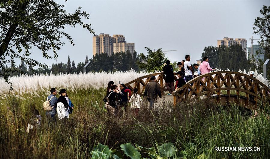 Парк водно-болотных угодий в провинции Шэньси
