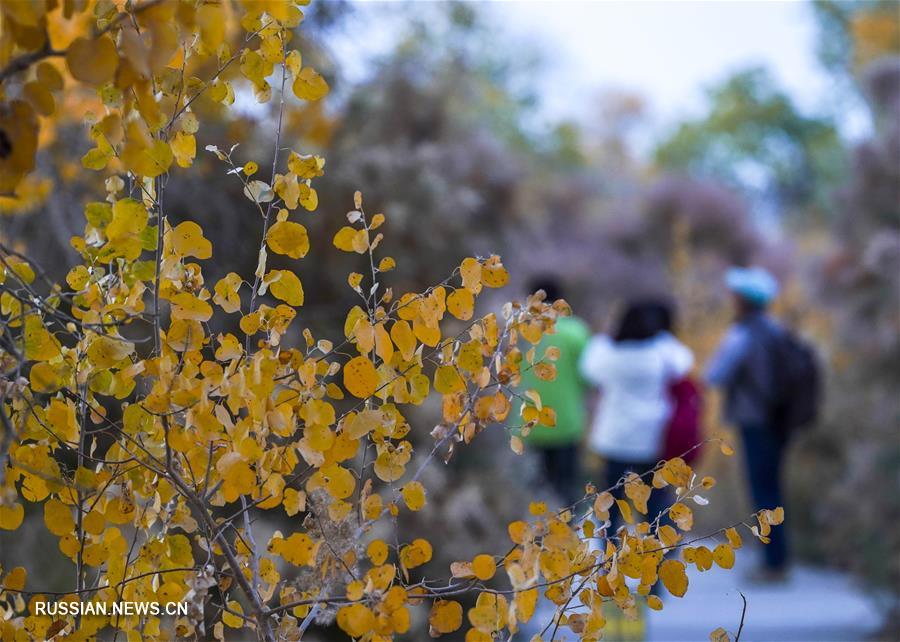 Осенние пейзажи в Синьцзяне