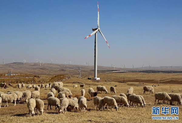 Китай развивает альтернативные источники энергии