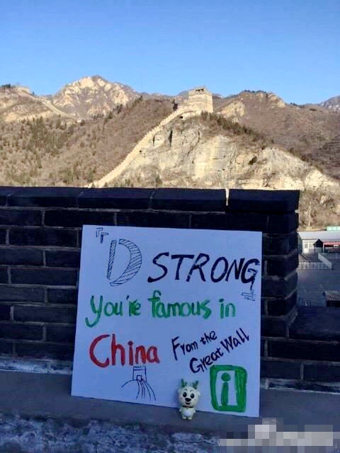 Китайские интернет-пользователи сфотографировали Великую китайскую стену для больного мальчика из США