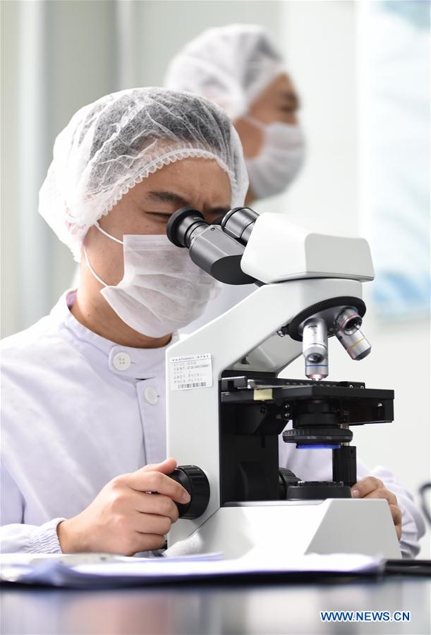 （晚报）（2）航空美食出炉记　