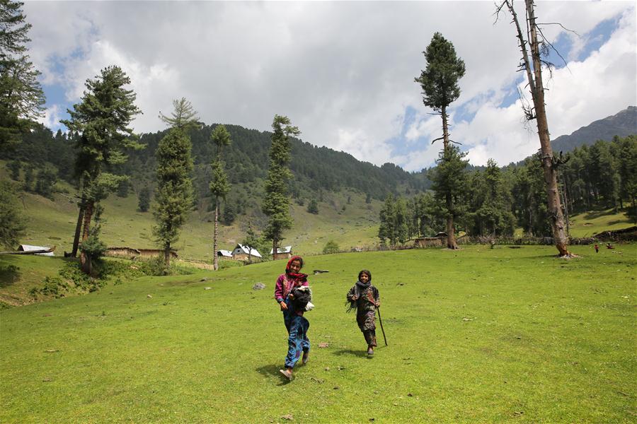 Детство в горных районах индийского Кашмира