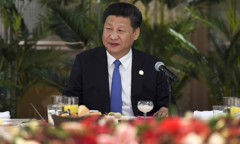 Си Цзиньпин встретился с руководителями африканских стран