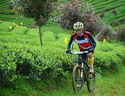 Велоспорт -- Гонка на маунтинбайках по чайной плантации Сунъянь