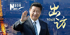 Участие Си Цзиньпина в Парижской конференции по климату, председательство в саммите Форума китайско- африканского сотрудничества и его Визиты в Зимбабве и ЮАР