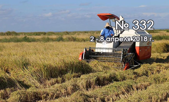 В созданном при поддержке Китая мозамбикском сельхозпарке началась уборка риса
