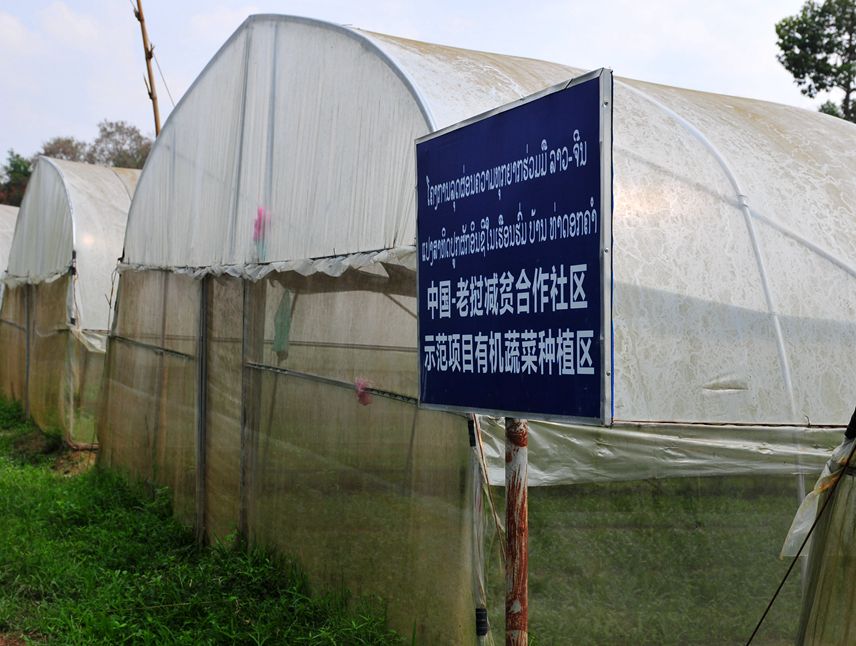 Китайские высокие агротехнологии на службе лаосских фермеров